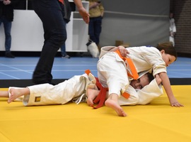 DSC_0798 2.jpg